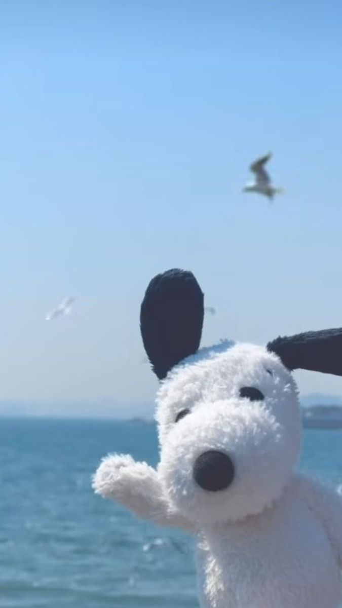 Calum (@cosasdecalum1) on Twitter photo 