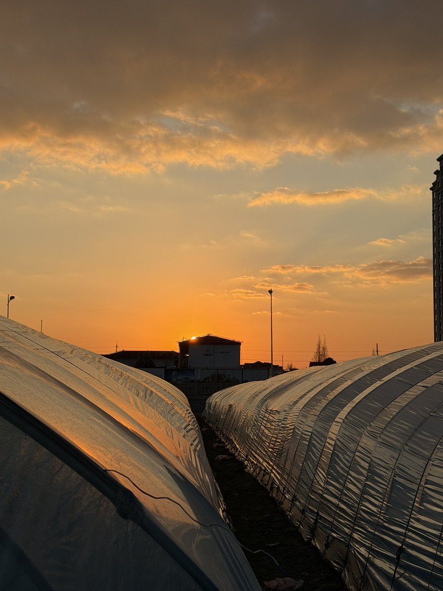 xigua1007's tweet image. 我其实超级没有安全感
骨子里藏着自卑