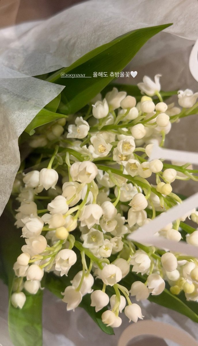 JisooInfo's tweet photo. Flores de gotas de lluvia este año también🤍
-Soojin, novia de Jisoo en instagram 

HAPPY BIRTHDAY JISOO
#OurBestGiftJISOODay
#언제나_사랑을_주는_지수야_생일축하해 https://t.co/5NwIPaGC4h