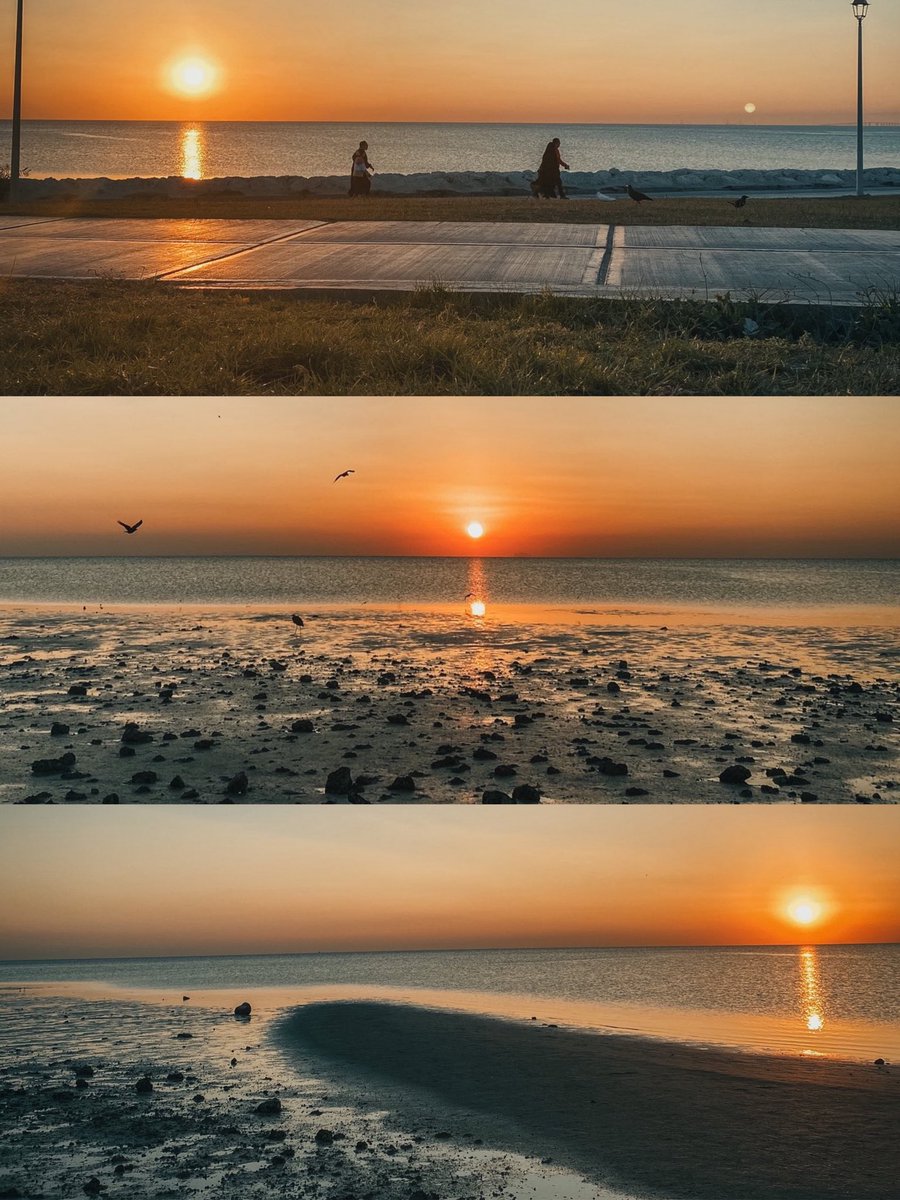 و مصير الشمس لو غابت بتشرق🧡