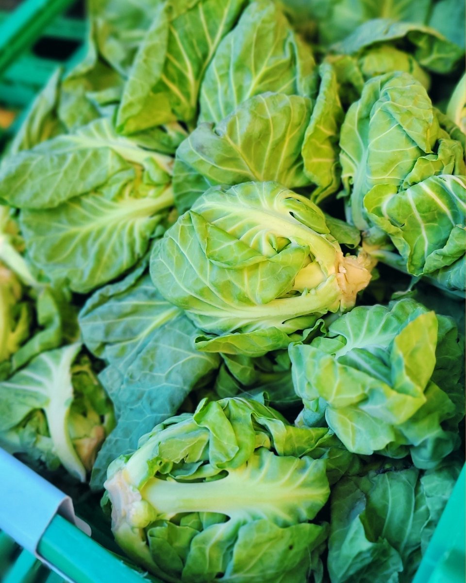 Be Enriched tweet media