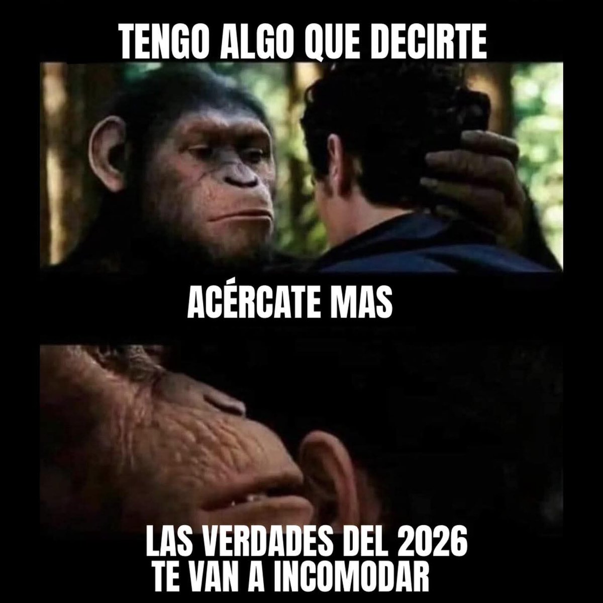 Abrís las redes y todo es un descontrol, total normalidad. Buen día...