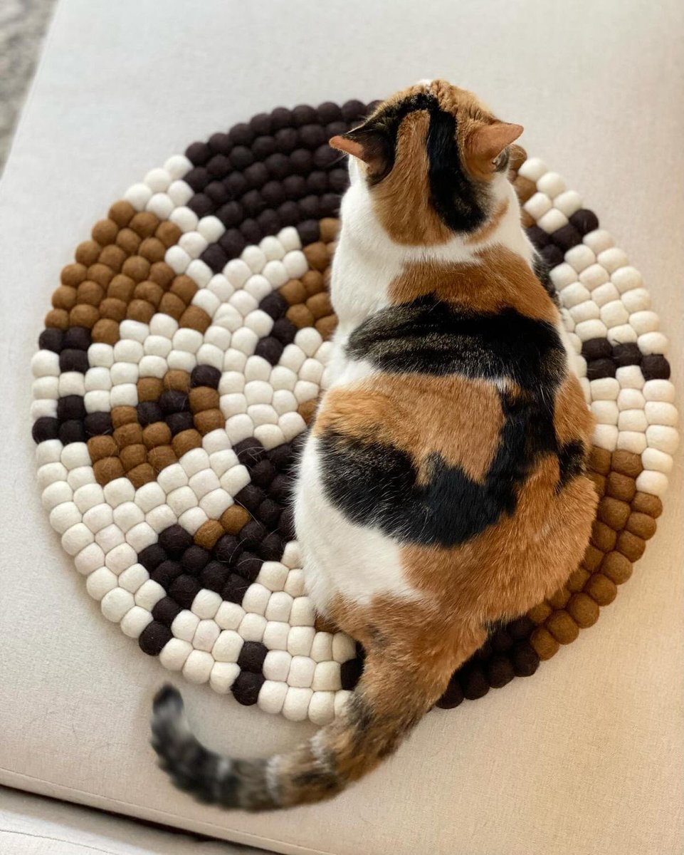 itsD3lay🐧 (@itsd3lay) on Twitter photo 