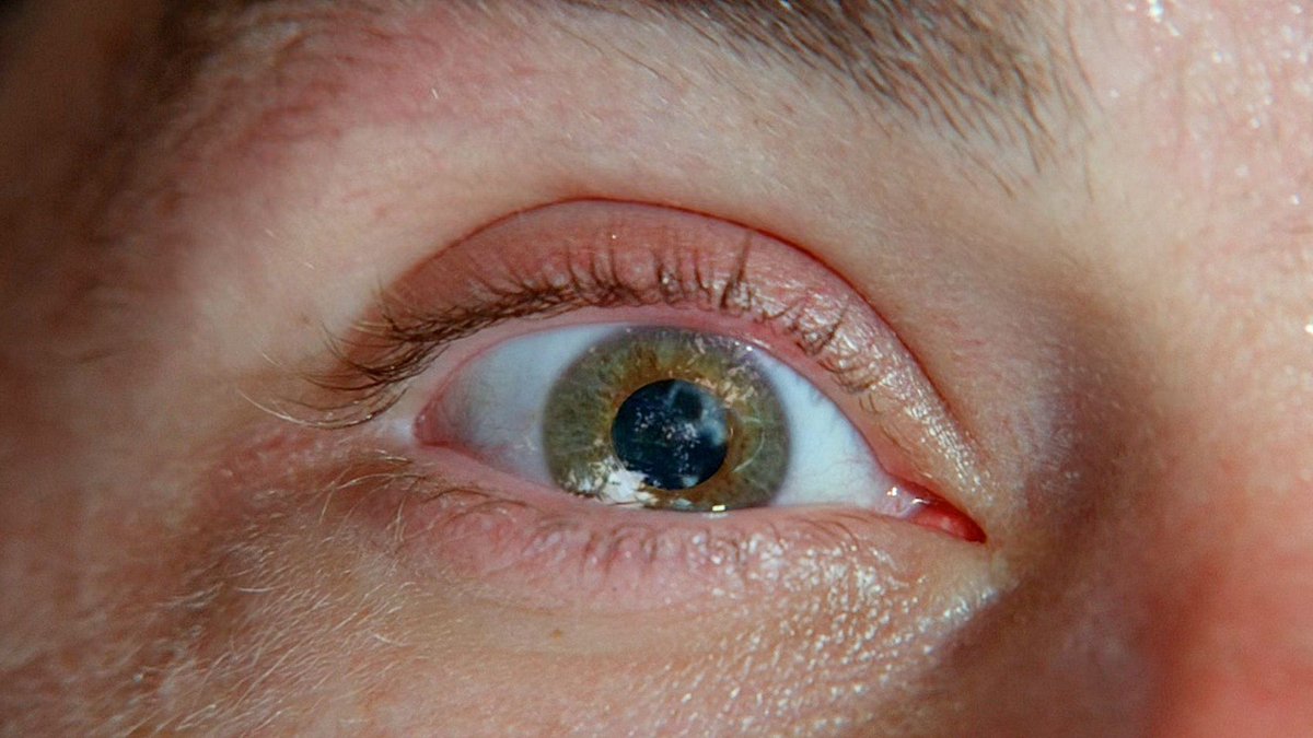 TheLOSTworld_'s tweet image. It's already 2026 and #LOST is still one of the best series in history.