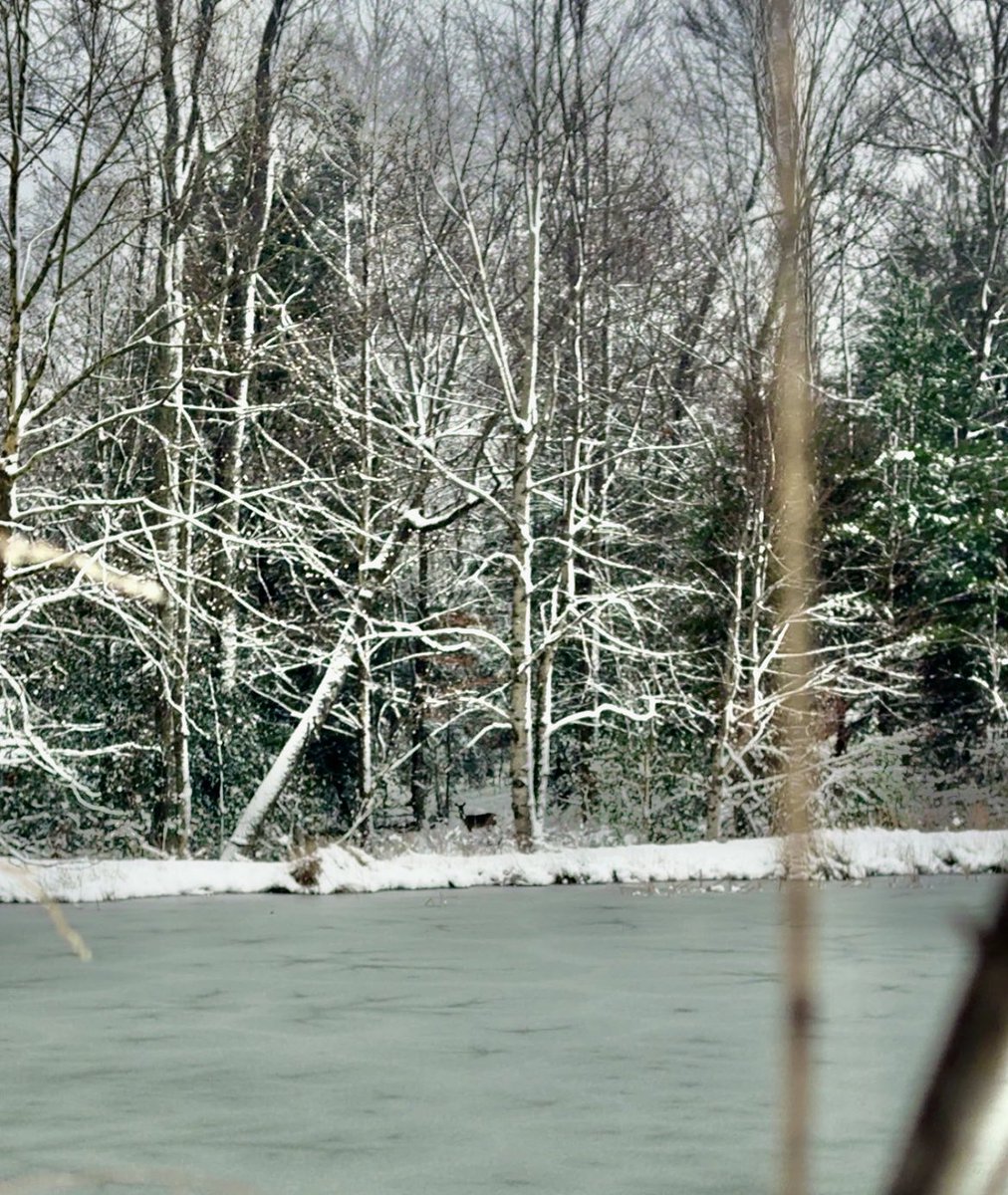 Good morning, friends. 🤍