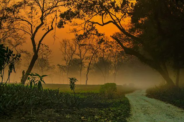 India Aesthetica tweet media