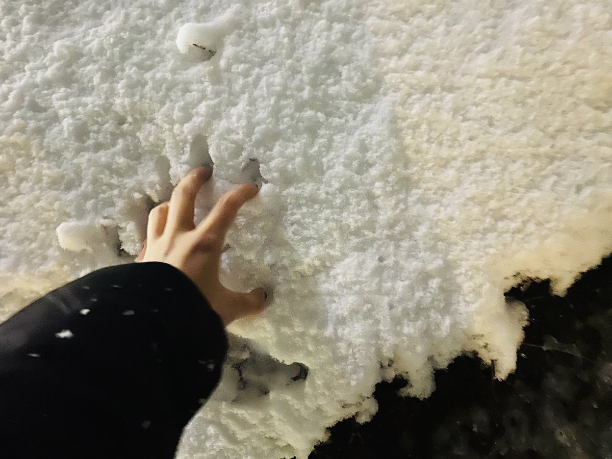 ベニアズマ イモミ@ 🍠 (@beniazuma_imomi) / Posts / X