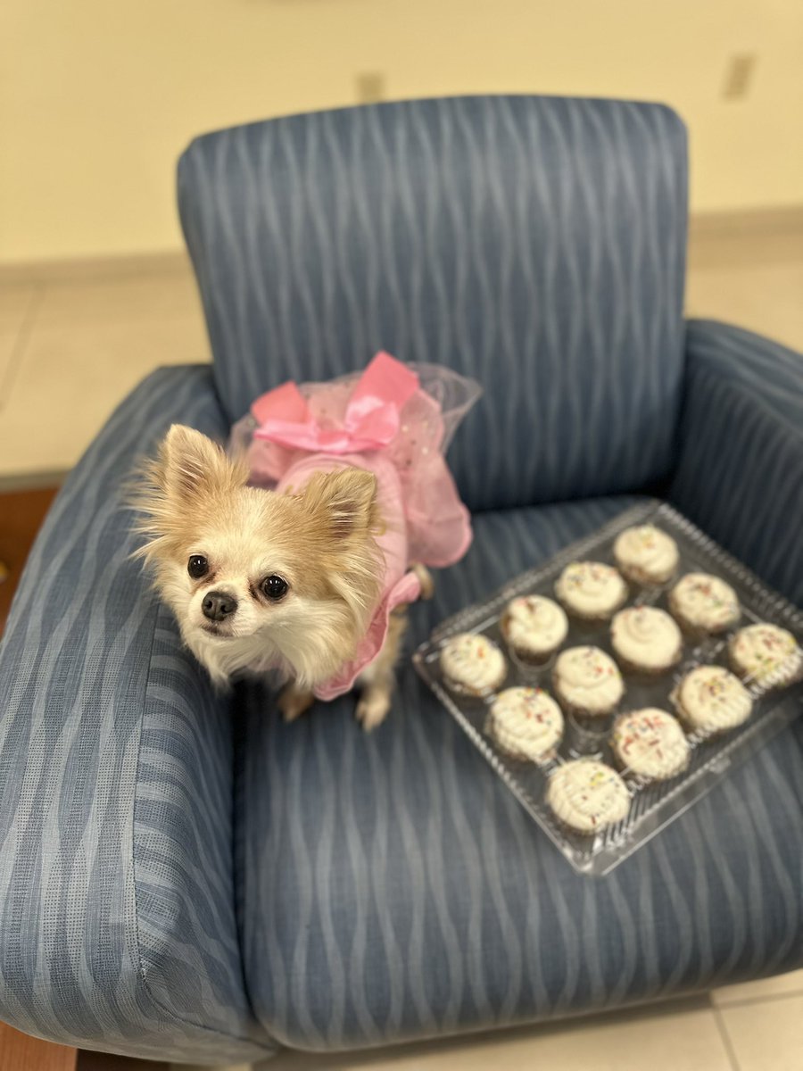 AnnaBanana tweet media