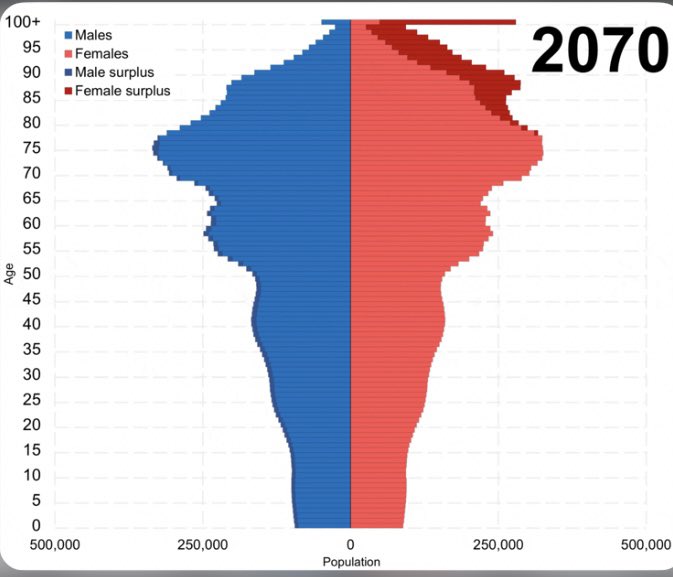 Imagine thinking you can have a demographic pyramid like this and still have retirement and generous benefits for everyone over 65 (who are the only people who own their houses &amp; get special property tax breaks).