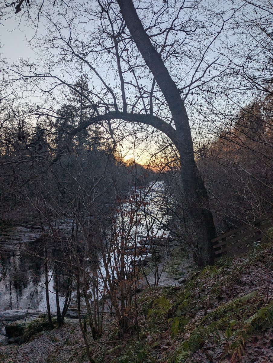 EdinburghNJS's tweet image. Lovely wander along the Ericht this morning with the 🐶. Bit brisk!! 🥶🥶