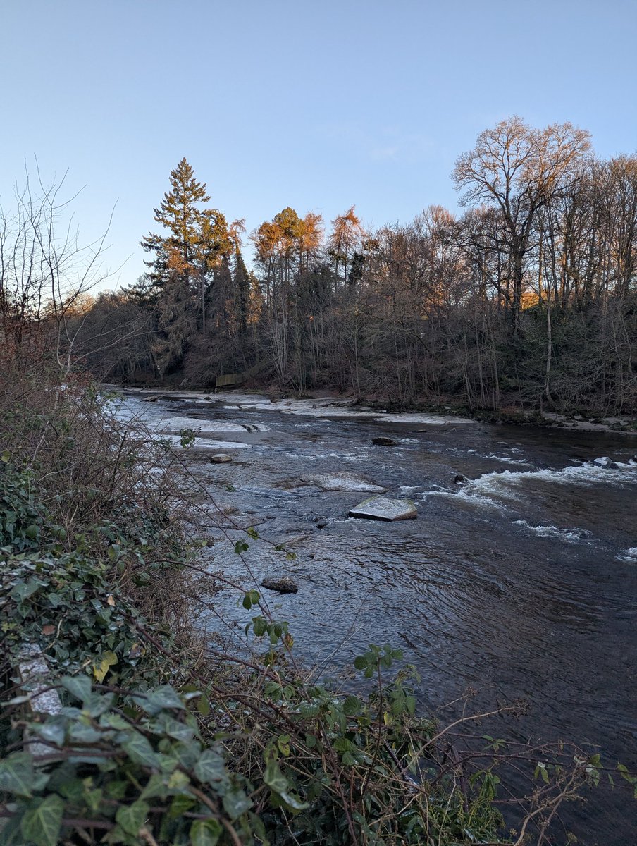 EdinburghNJS's tweet image. Lovely wander along the Ericht this morning with the 🐶. Bit brisk!! 🥶🥶