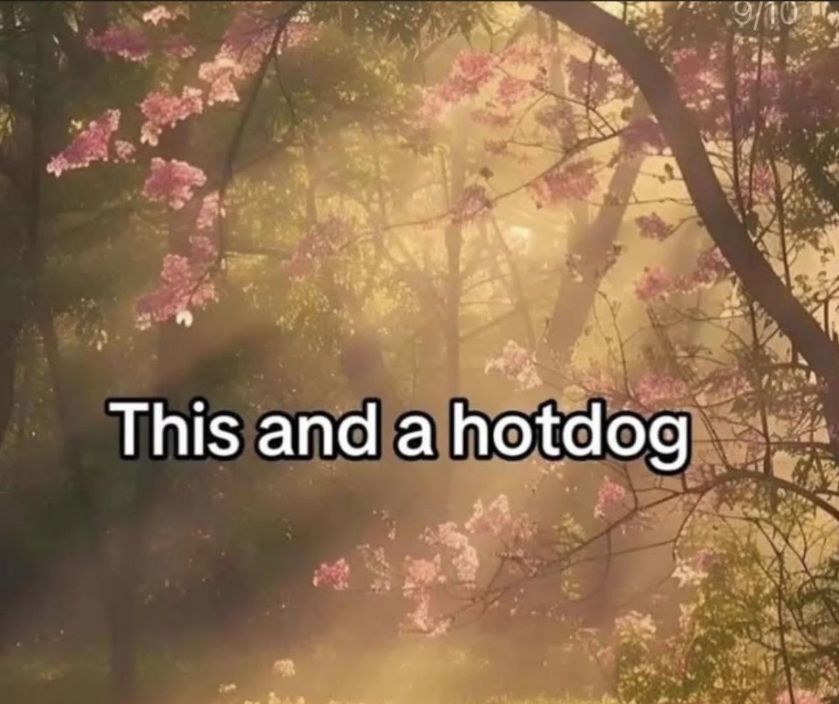 ADHD Memes (@adhdforreal) on Twitter photo 