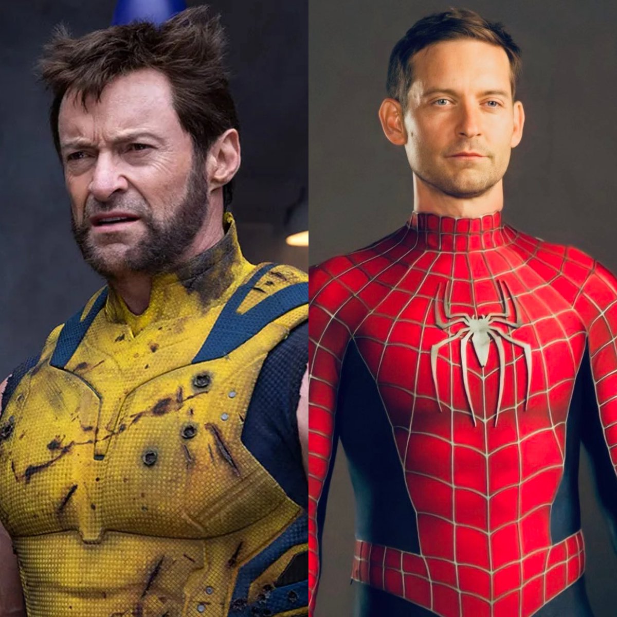 marvelousgeek__'s tweet image. The end of ‘AVENGERS: DOOMSDAY’ will reportedly set up Hugh Jackman’s Wolverine and Tobey Maguire’s Spider-Man as the main leads for ‘AVENGERS: SECRET WARS’

(via: @MyTimeToShineH)