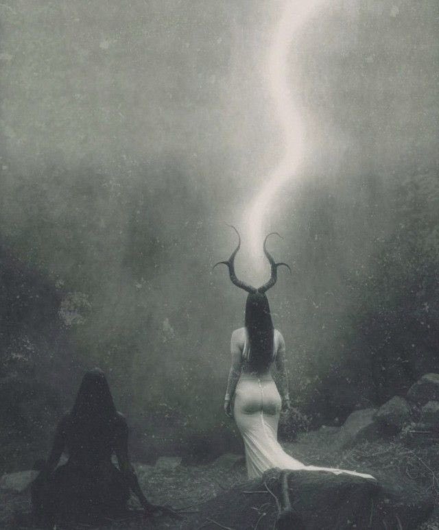 solisolsoli's tweet image. 