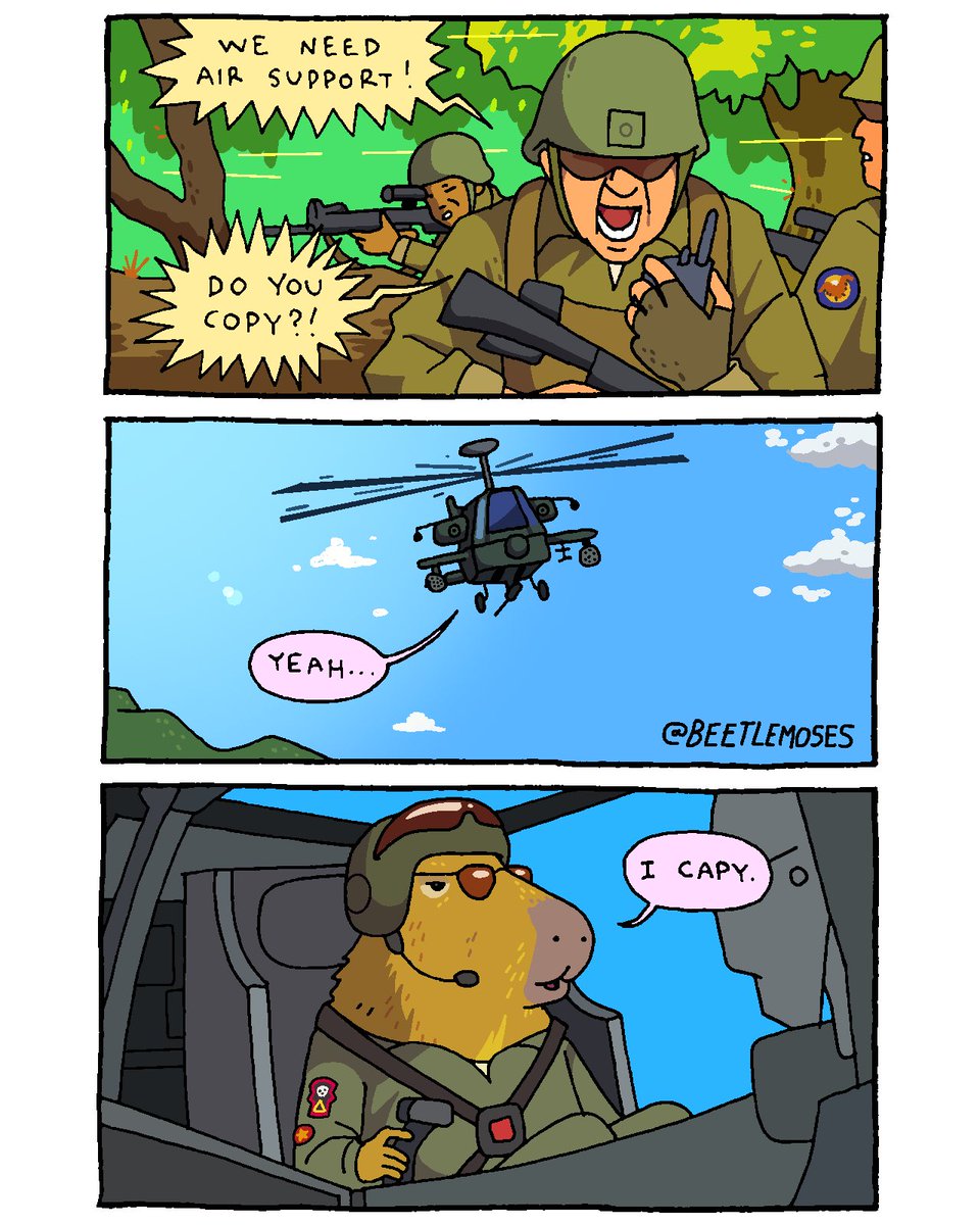 beetlemoses's tweet image. 