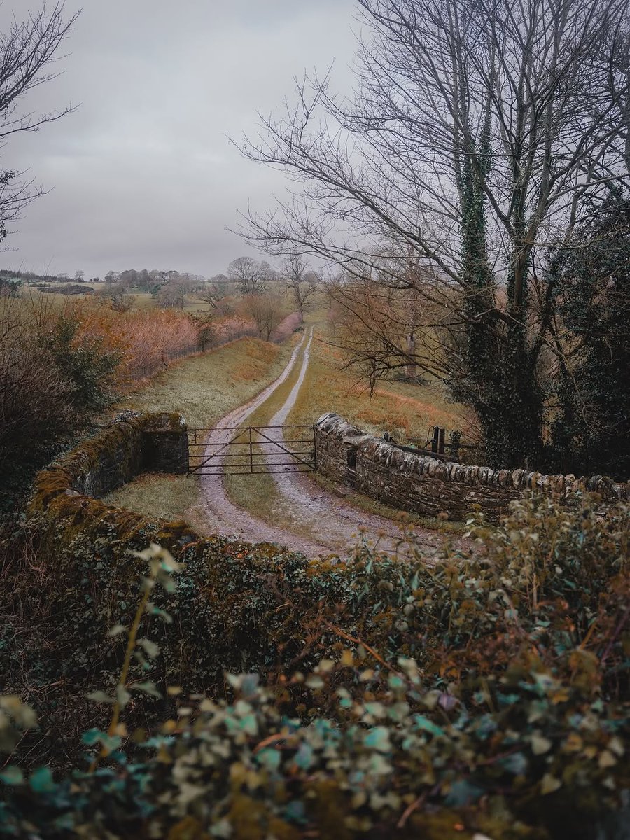 visualsofearth1's tweet image. Northern Ireland