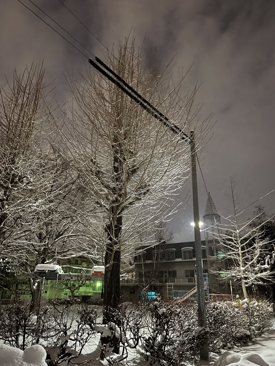 HARU (@zaurusuikka5224) / Posts / X