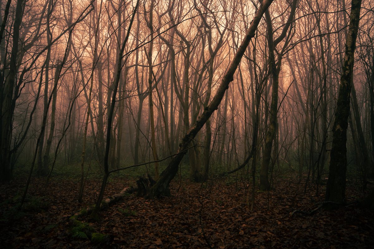 zosphotos's tweet image. The quietest time of day