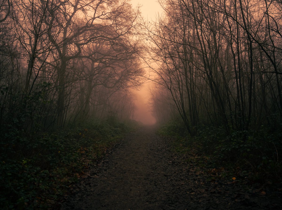 zosphotos's tweet image. The quietest time of day