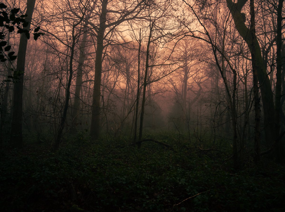 zosphotos's tweet image. The quietest time of day