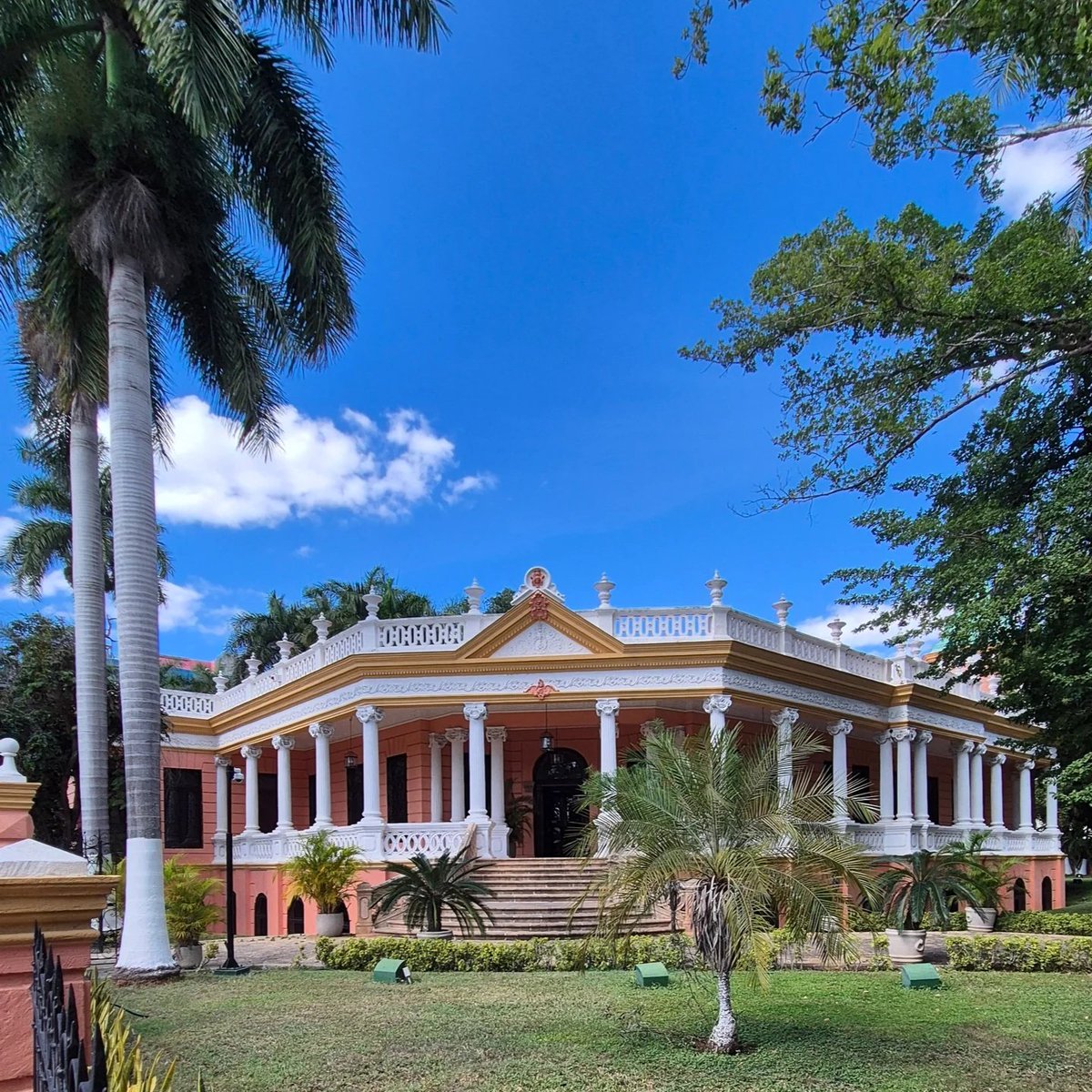 Mañana libre, disfrutando del precioso y bonito paseo de Montejo, en Mérida (Yucatán). 🇲🇽

El toro y su hermandad nos permite conocer lugares únicos y precioso.