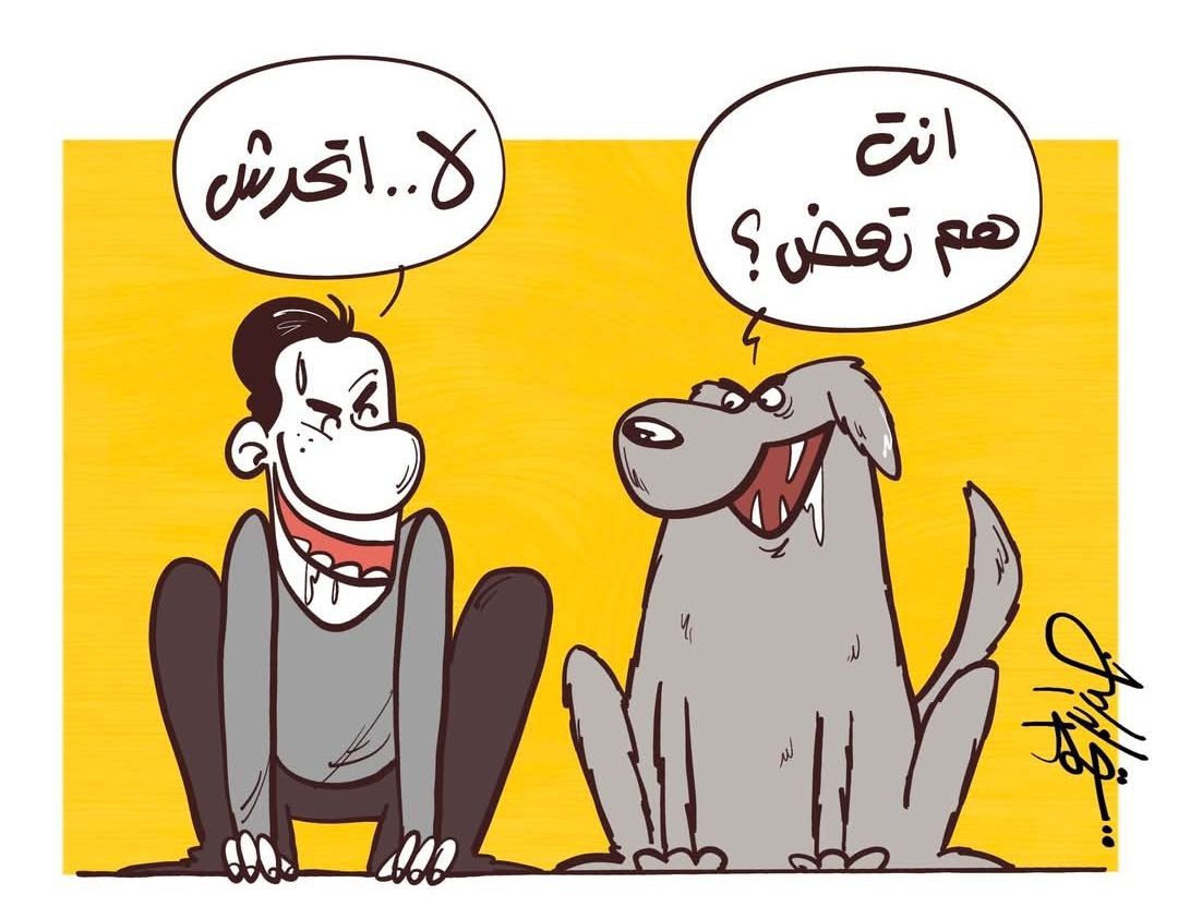 ipxae's tweet image. 