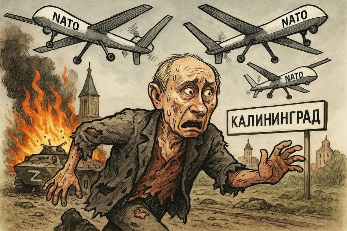 Olena Rohoza tweet media