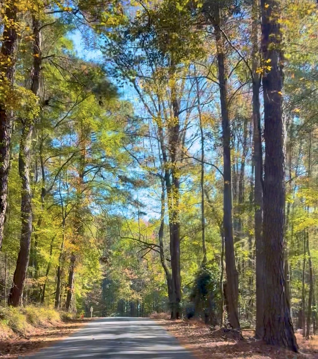 JeaneFahrlander's tweet image. My daughter has snatched me away today!  North Atlanta looking places for her to live.