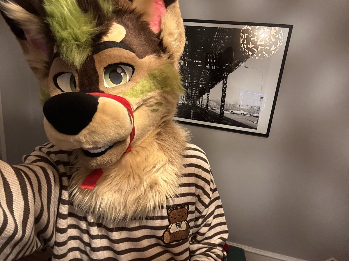 Quasar 🎆✨ NFC26 tweet media