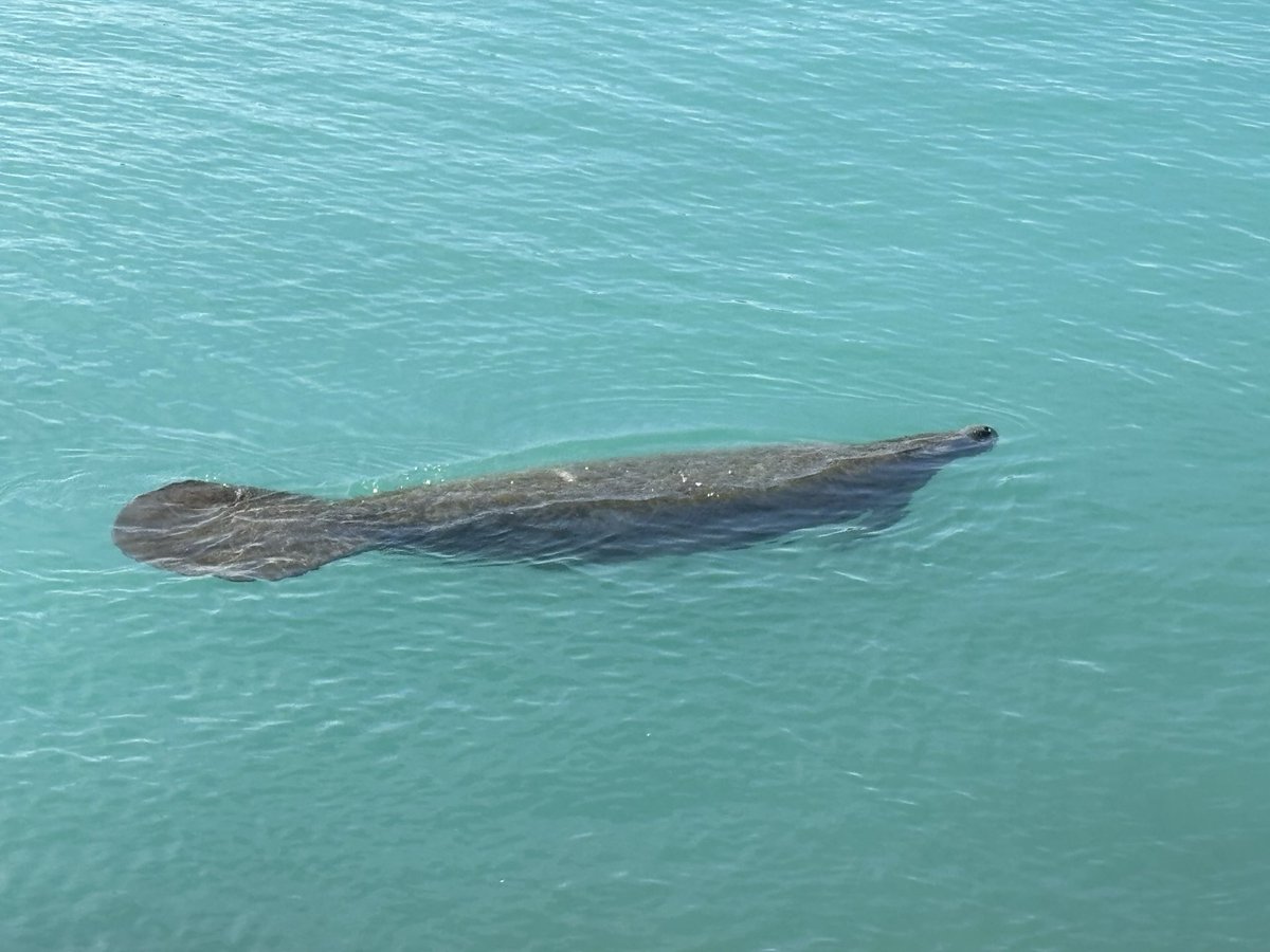 J. Derek Kingsley, PhD, FACSM tweet media