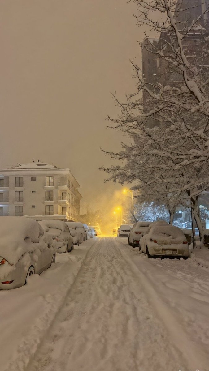 sciencegirl's tweet image. You wake up tomorrow to this 

What’s the very first thing you do