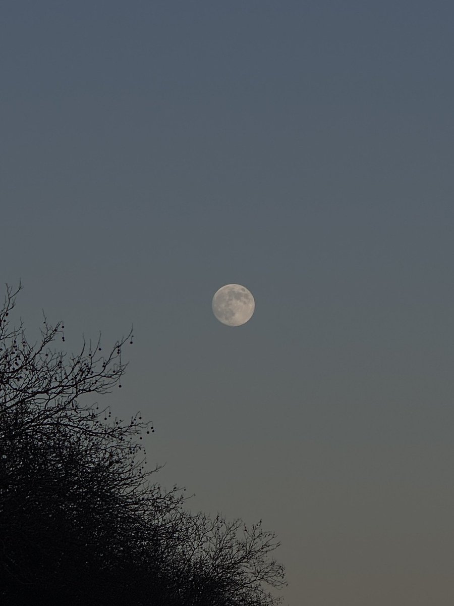 todays moon looked insane