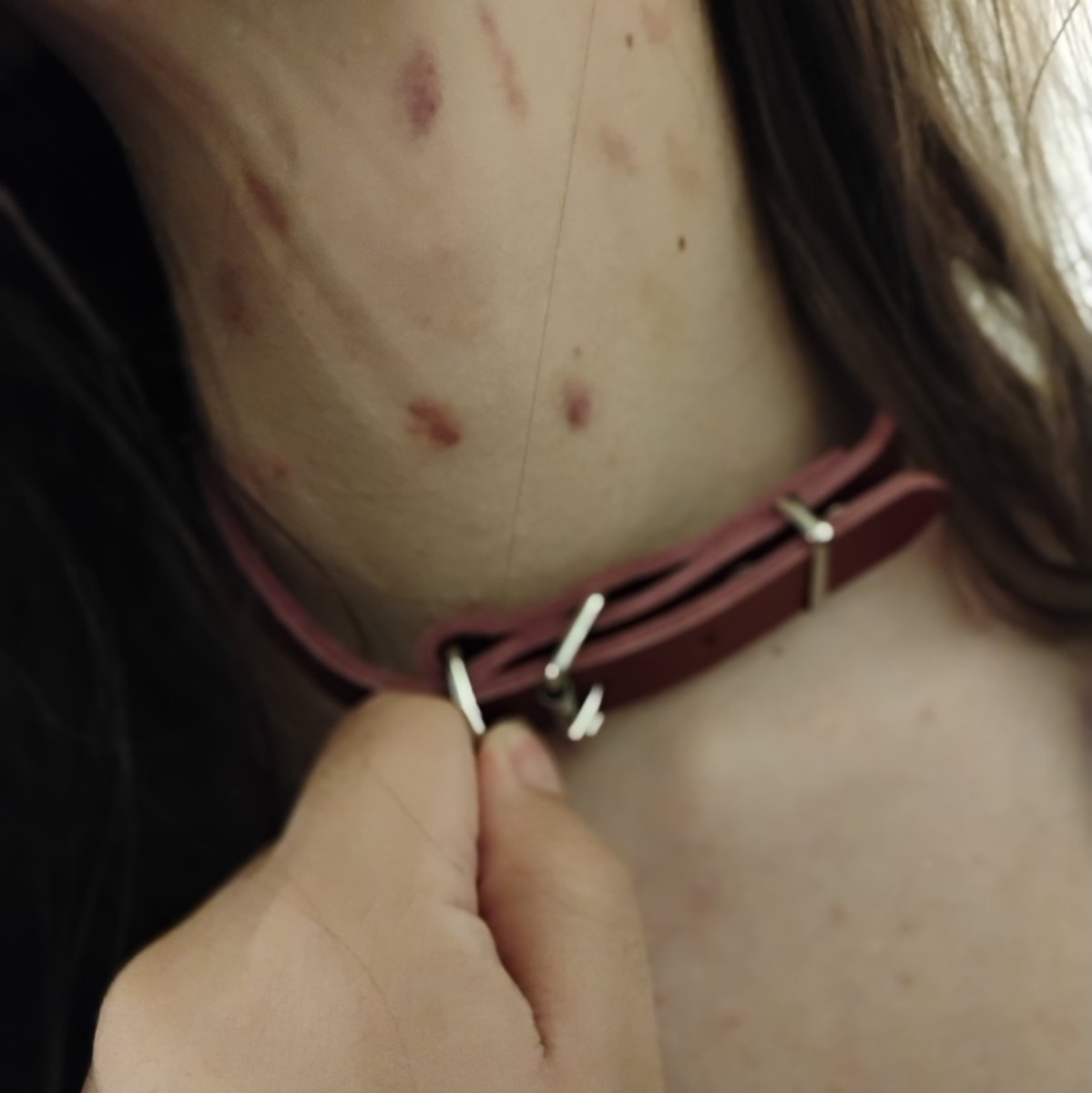 got my puppy a new collar, I want to show her off~