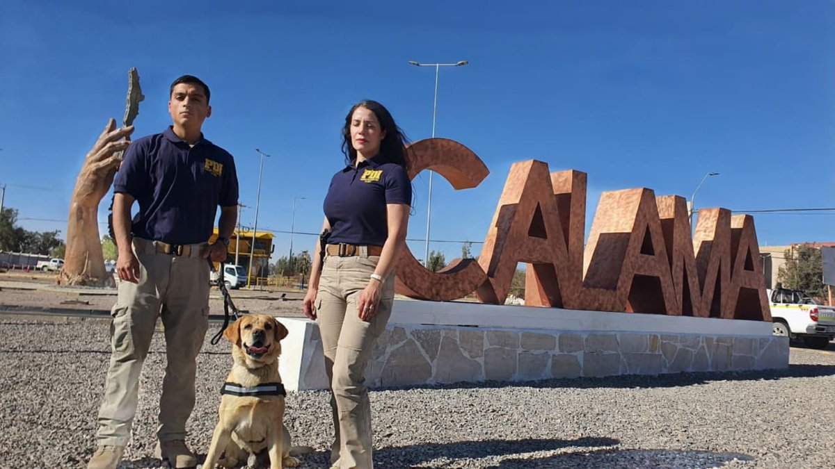 Te contamos que los equipos investigativos de
<a href="/PDI_Antofagasta/">PDI_Antofagasta</a>, están disponibles 24/7. Si eres víctima de algún delito comunícate al 134 o acércate al cuartel policial más cercano. #Antofagasta #Calama #Ollague #SanPedrodeAtacama #Mejillones #Taltal #SierraGorda