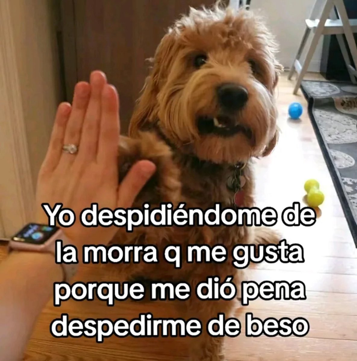 conoloracigarro's tweet image. 