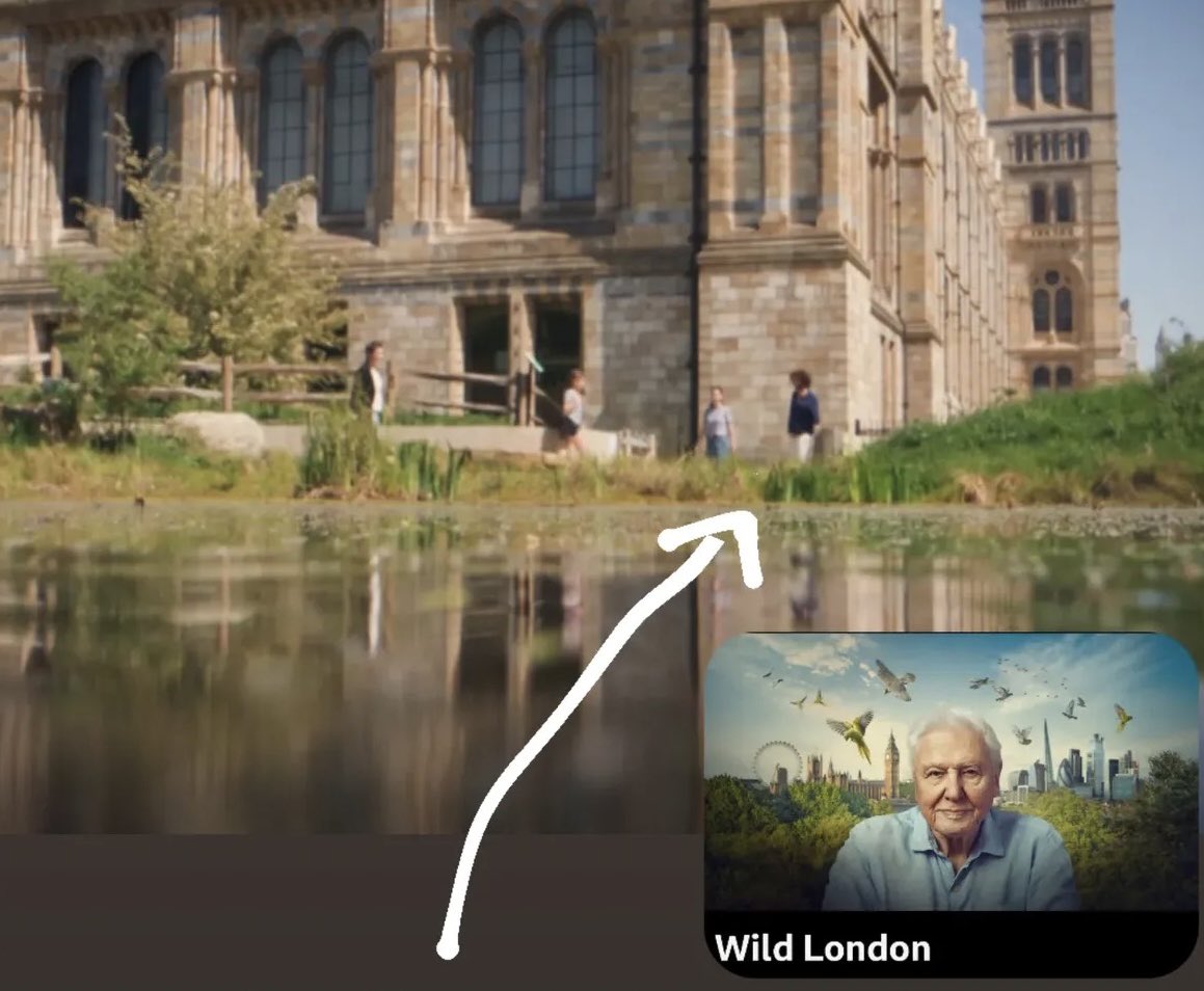 Ed Baker tweet media