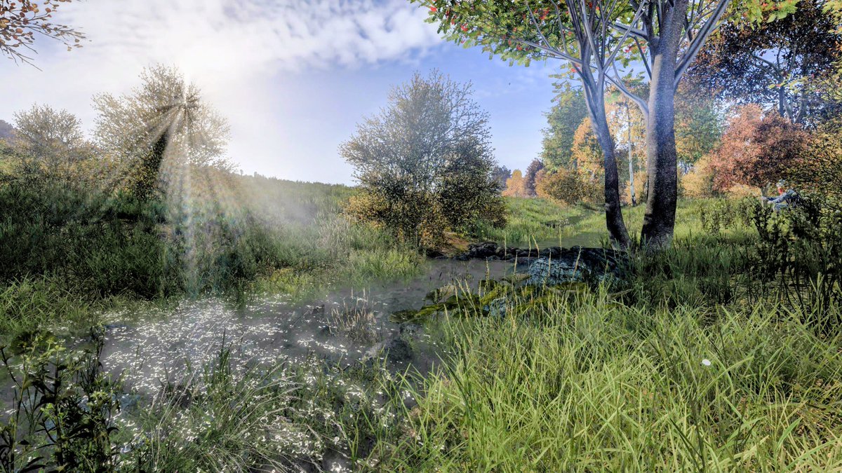 📸 DayZ 

🎮 PS5 

#DayZ #mydayz #talentfordayz #VirtualPhotograph