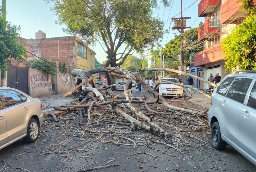 Nos mantenemos informados sobre el reciente sismo en #México, perceptible en varias zonas del país.

Todos nuestros cooperantes fueron contactados y ninguno presenta dificultades. Están listos para prestar la ayuda necesaria.

Nos solidarizamos con el pueblo y Gobierno de esa