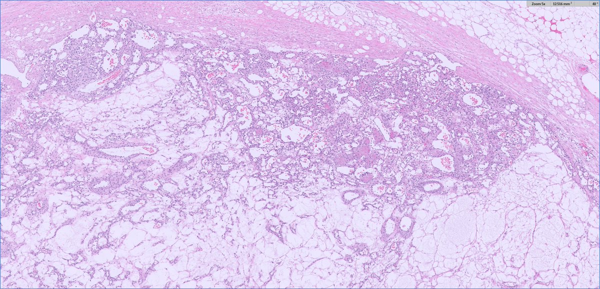 Ankur Sangoi tweet media