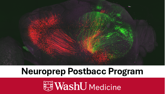 Neuroprep at WashU tweet media