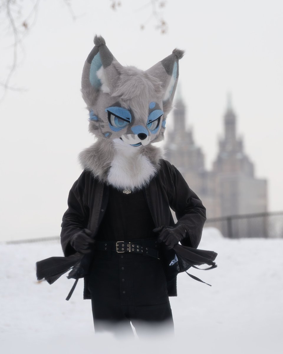 mira 🔜 TFF tweet media