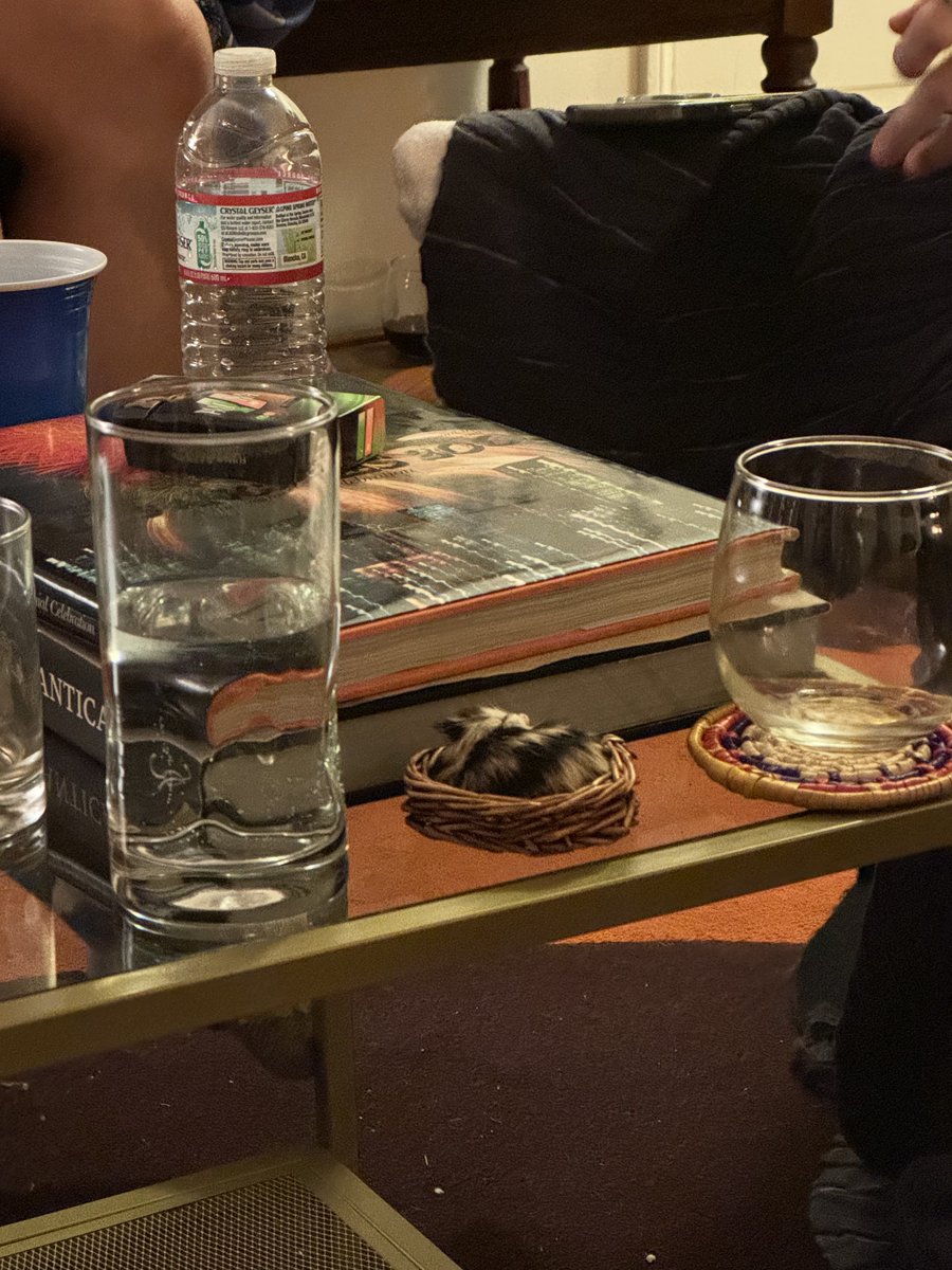 hugetulip's tweet image. There was a super chill hamster sleeping in a wicker basket at a party I went to on nye. I love LA!