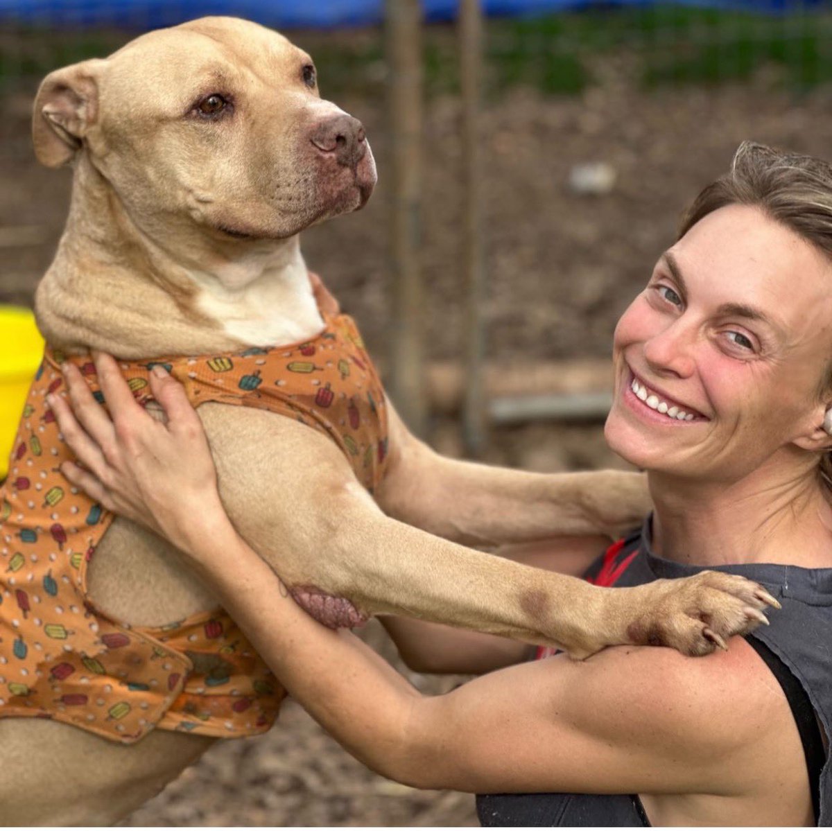 LaylasheartOR's tweet image. We have only raised $255 for our $5k match. Please share, share, share. We rarely get matches like this and it would be heartbreaking to miss out. This would help us so much! Thank you to everyone who donates, shares and supports us! We are so grateful! 

Donate:…