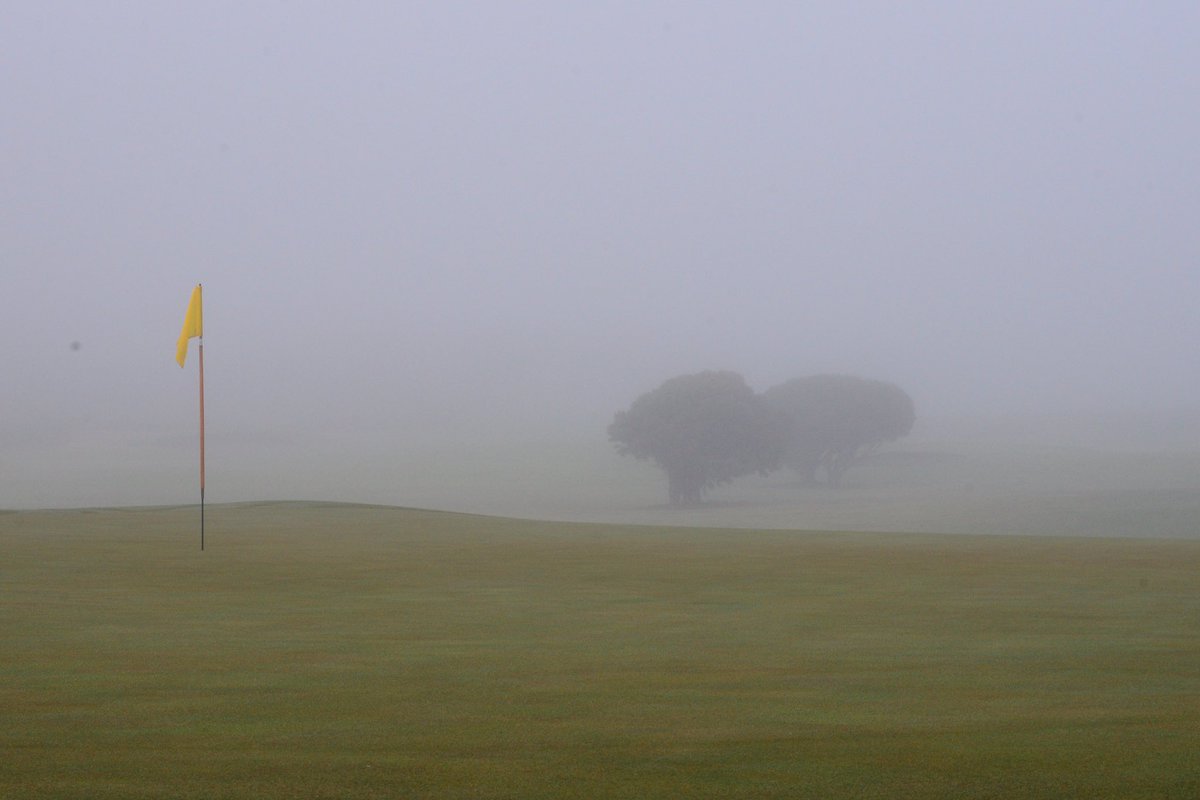 Alex Strauch tweet media