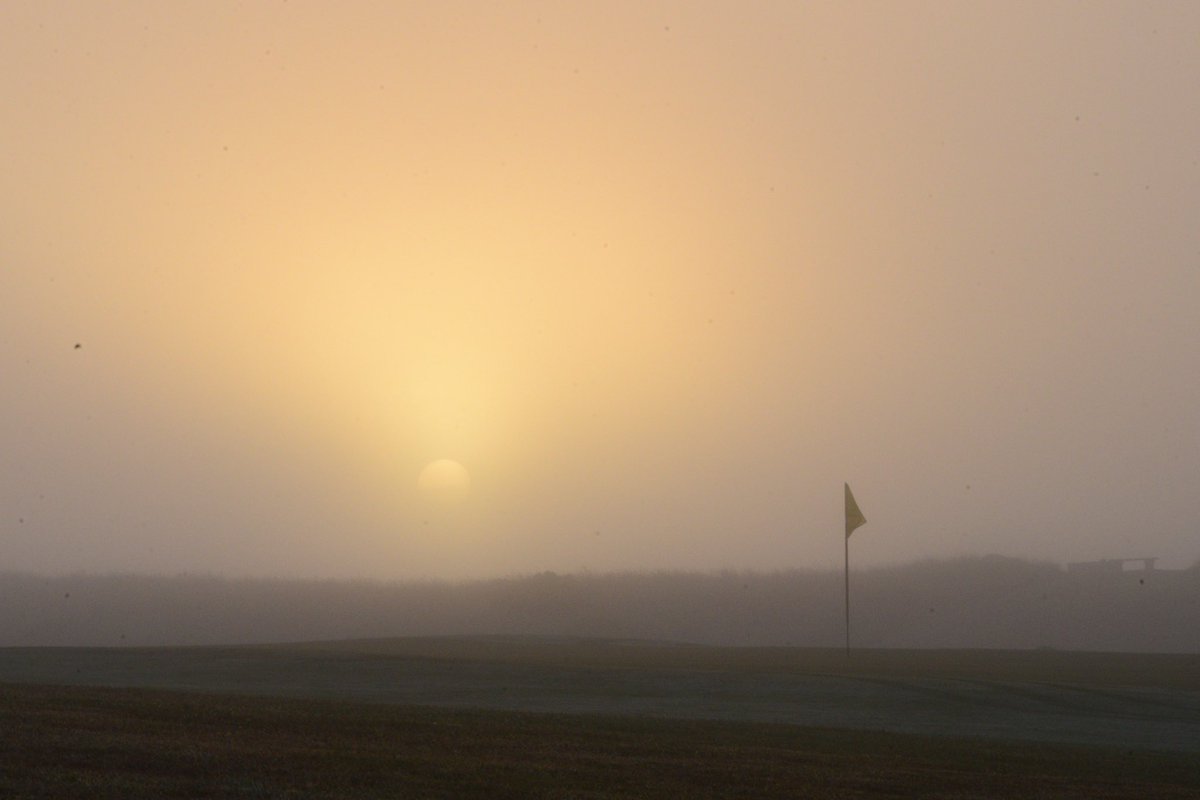 Alex Strauch tweet media