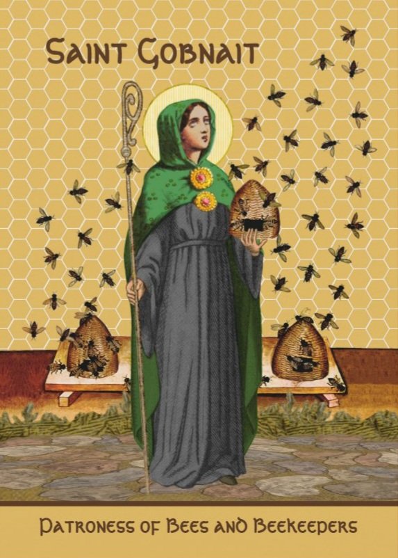 izuna657's tweet image. You can tell a lot about a person by the way they treat God's little creatures 🐝❤️‍🔥