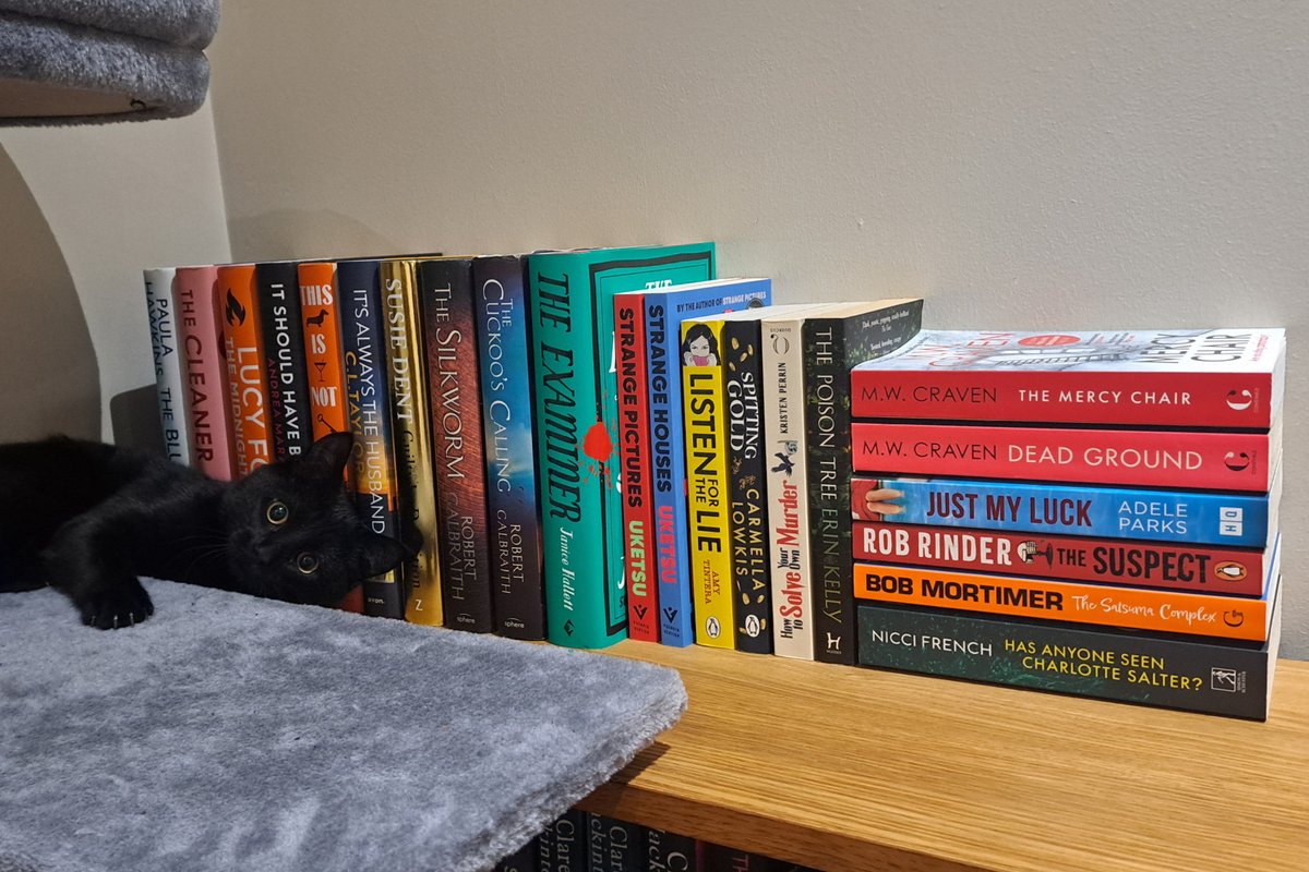My 2025 round up.
22 books (plus one on my Kindle) and a cheeky photo bomb.
All of them brilliant.
#booktwitter #booktwt #beatthebacklog