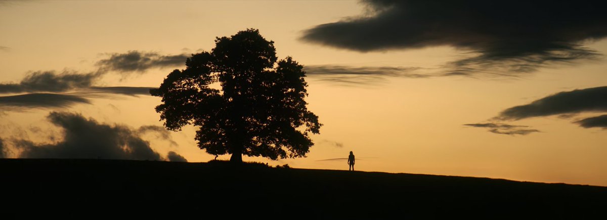 eliteprince_'s tweet image. 28 Years Later (2025) dir. Danny Boyle