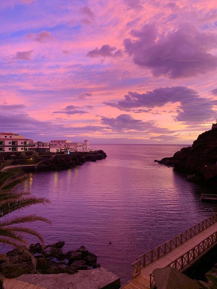 Anouk 👾 tweet media