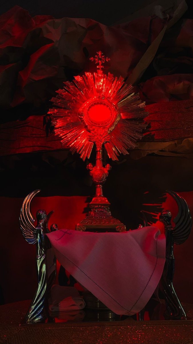 𝚕𝚒𝚝𝚝𝚕𝚎 𝚘𝚗𝚎 ♱🇻🇦 tweet media